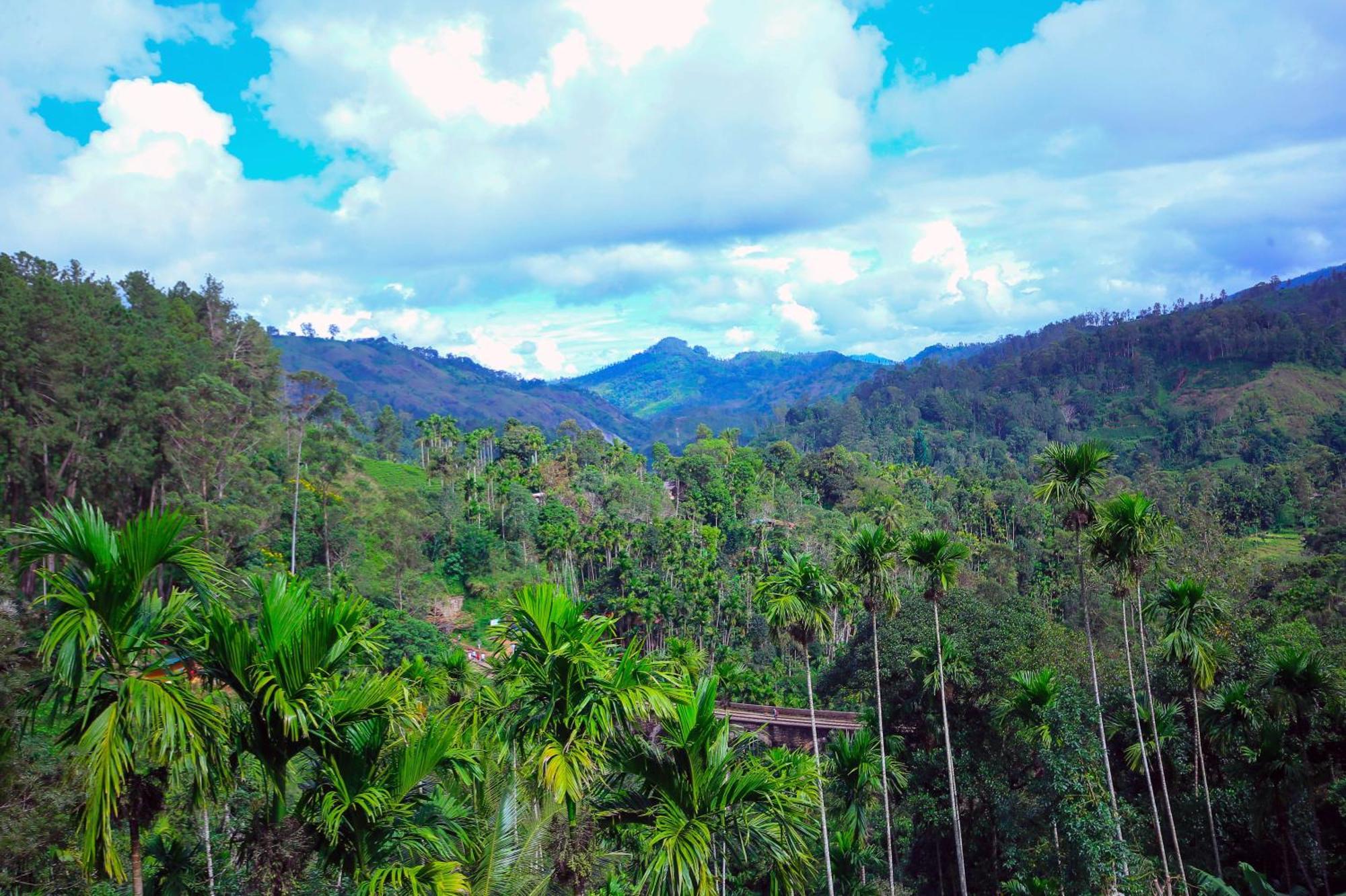 Nine Arch View Ella Apartment Luaran gambar