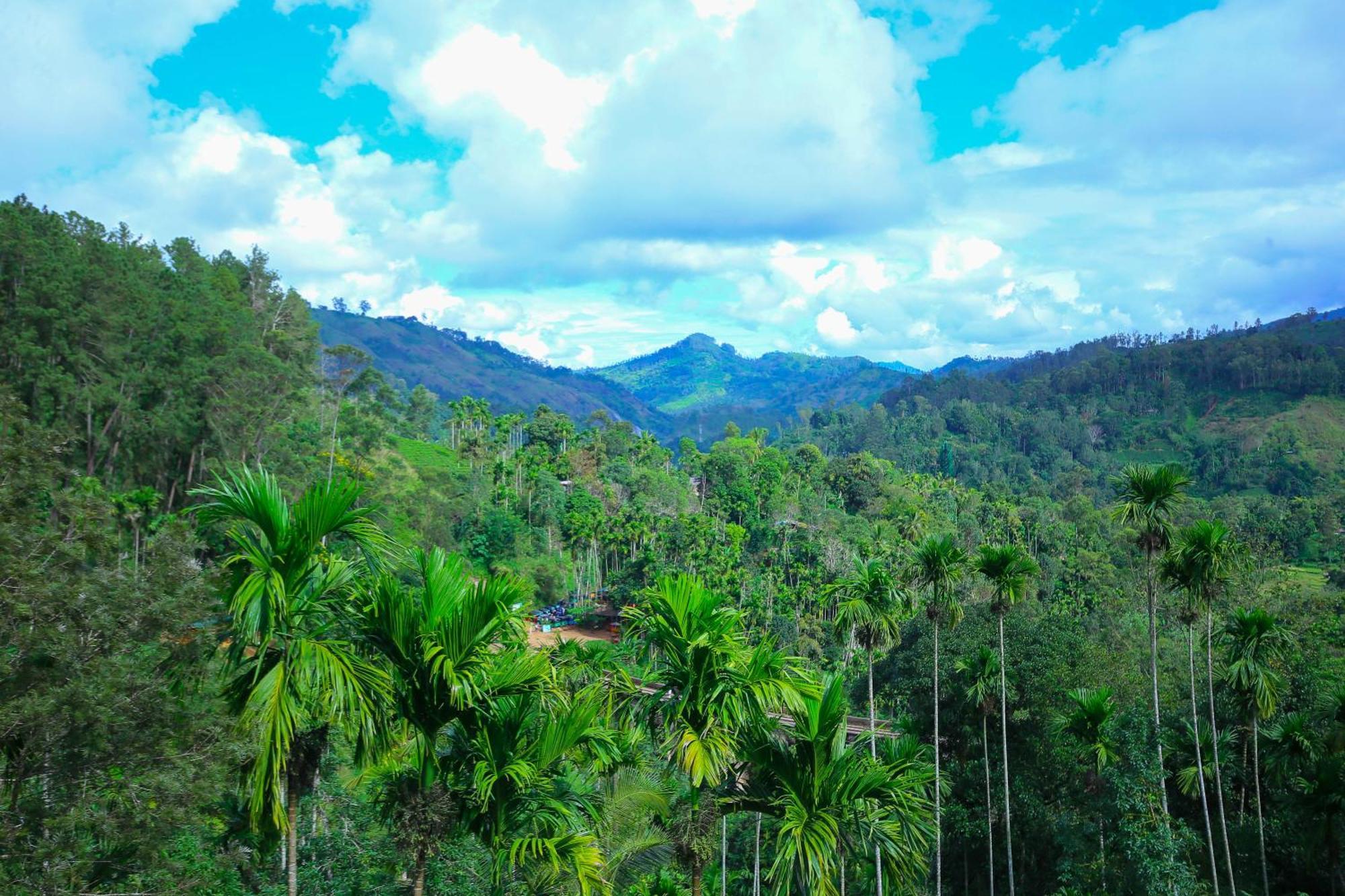 Nine Arch View Ella Apartment Luaran gambar