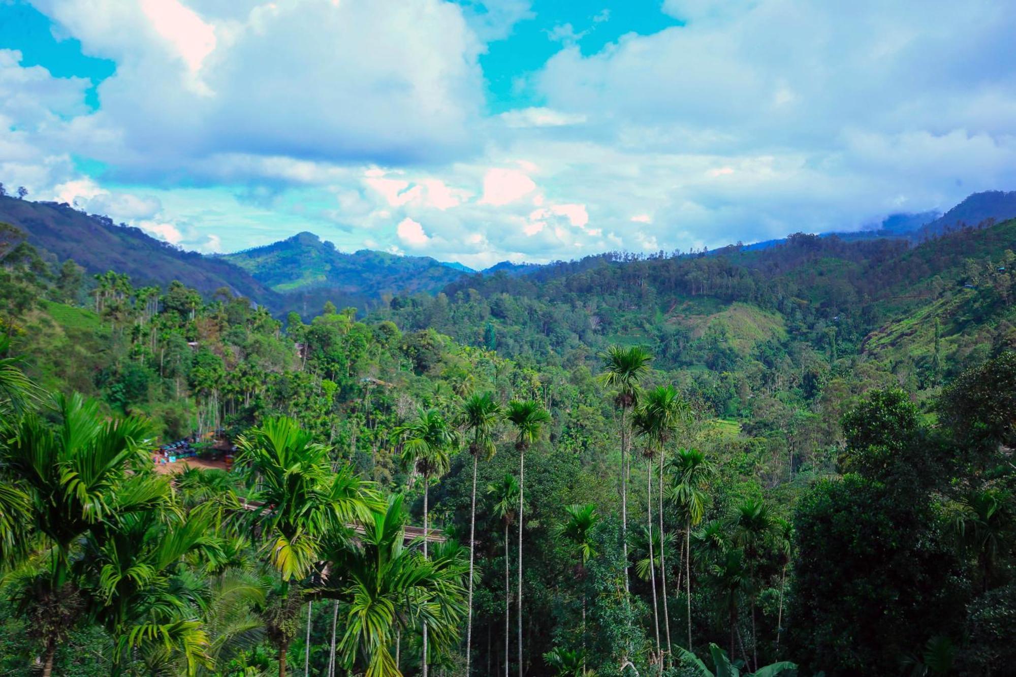 Nine Arch View Ella Apartment Luaran gambar